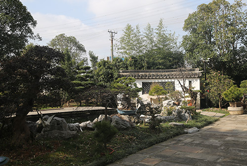 蘇州庭院苗木批發(fā)分析庭院苗木的設(shè)計(jì)要點(diǎn)（二）