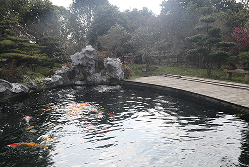 園林一角